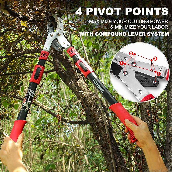 HAUTMEC Anvil Loppers for Tree Trimming Heavy Duty, Extendable 27-37'' Garden Bypass Loppers with Compound Action System, 2" Cutting Capacity, Labor-Saving Tree Trimmer for Yard, Lawn Branch Cutter