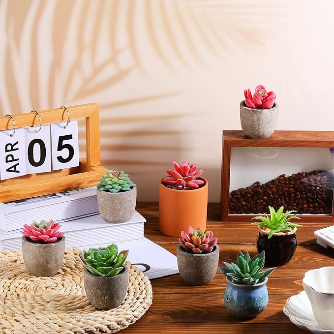 WILLBOND 50 Pcs Bulk Mini Artificial Succulents Plants Assorted Unpotted Realistic Plants Fake Textured Succulent Picks Realistic Plastic Cactus Stems for Succulent Garden Home Decor (Normal Style)