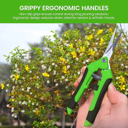 GARDEN GURU Razor Sharp Snip – Professional Garden Pruning Shears Trimmers – Super Sharp Micro-Tip Precision Stainless Steel Blades - Ergonomic Handles Easy on Arthritic Hands - 1 Case (100 Pcs)