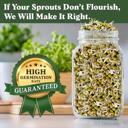 Seedboy Organic Non-GMO Mung Bean Seeds for Sprouting - Microgreens Sprouting Seeds - 8 oz Bag Makes 5 Quarts / 15 Servings (Mung Bean)