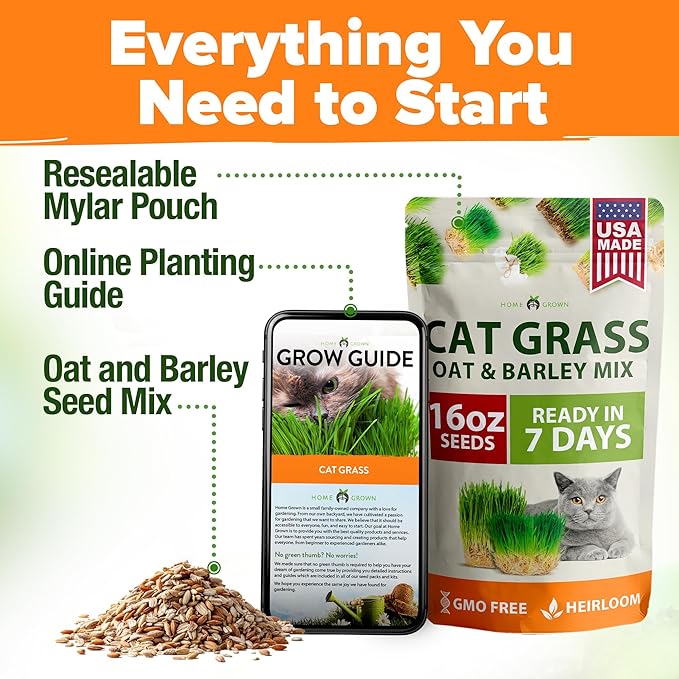 HOME GROWN 𝗨𝗦𝗔 𝗣𝗥𝗘𝗠𝗜𝗨𝗠 1 Pound Cat Grass Seeds for Cat & Kittens Oat & Barley Mix 100% 𝗡𝗢𝗡-𝗚𝗠𝗢 Heirloom, Grow Fresh Kitty Grass for Chewing, Pet Grass for Cats Indoor Garden