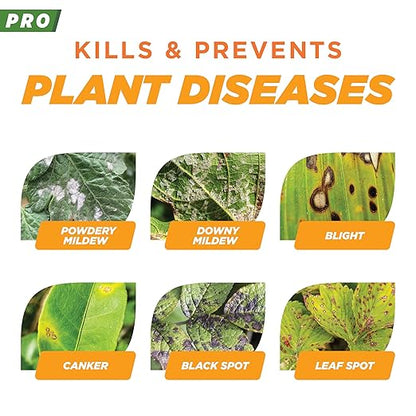 Earth's Ally Pro Disease Control Concentrate 2.5 gal. | Makes Up to 208 gals | Fungicide for Orchards, Food Crops, Ornamentals, Houseplants, Lawn & Turf
