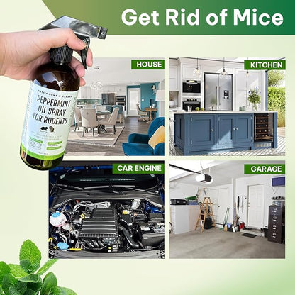 Kate Naturals Peppermint Oil Spray for Rodents, Squirrels, Mouse, Bat, Rat, Car Engines (16oz, Non-Toxic Rodent Repellent, Pet Safe)