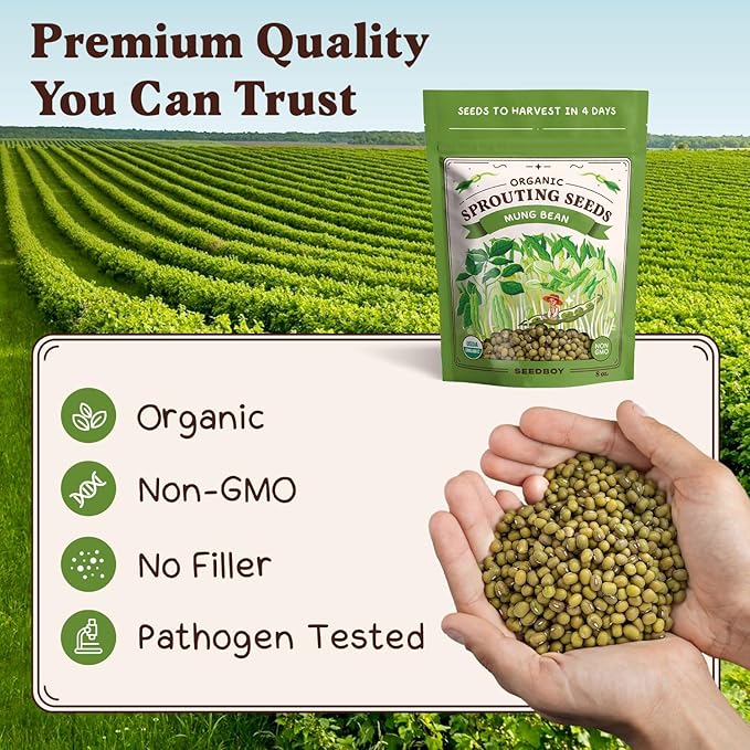 Seedboy Organic Non-GMO Mung Bean Seeds for Sprouting - Microgreens Sprouting Seeds - 8 oz Bag Makes 5 Quarts / 15 Servings (Mung Bean)