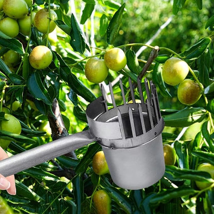 Fruit Picker Gardening Equipment Galvanized Iron Sturdy Easy to Use Portable Picking Tool Manual Agricultural Tool