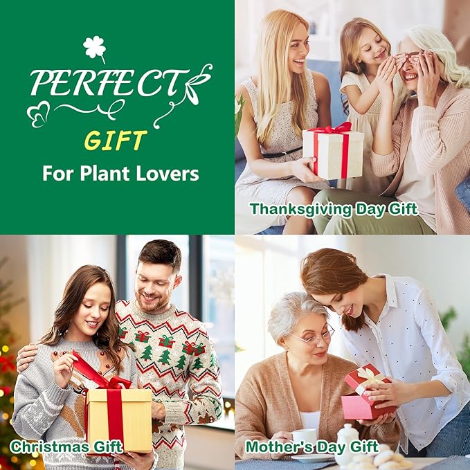 Bonsai Tree Kit, Complete Bonzai Tree Starter Kits with Tools, Unique DIY Gardening Gifts for Mom Women Men, Crafts Hobby Kits, Grow Bonsai Tree Live Indoor