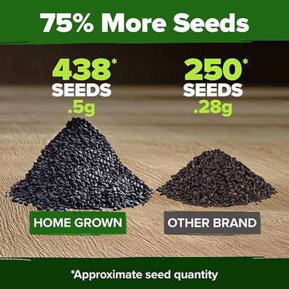 HOME GROWN Thai Basil Seeds Pack - 438 High Germination 𝗡𝗢𝗡-𝗚𝗠𝗢 𝗨𝗦𝗔 Heirloom Herb Seeds for Planting,Ideal for Growing Fresh Basil Planting Indoor or Outdoor(Ocimum basilicum var.thyrsiflora)