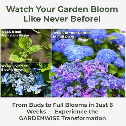 Slow Release Hydrangea Fertilizer with Iron & Sulfur – Indoor & Outdoor Soil Acidifier for Miracle Growth (2 qt)