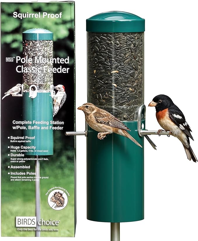 Birds Choice Classic Squirrel Proof Bird Feeder with Pole Mount | Tube Bird Feeder for Cardinals, Chickadees, Woodpeckers | Sturdy Steel for Long-Lasting Use | Backyard Birdseed Dispenser | Green