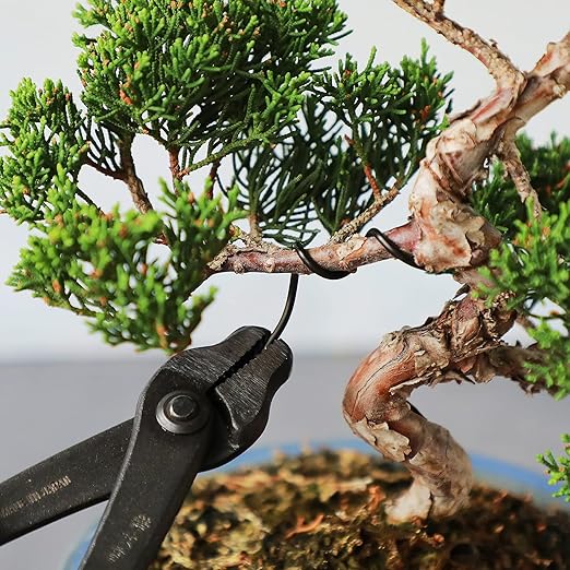 Wazakura 150 gr Black Anodized Aluminum Bonsai Training Wire Made in Japan (1 mm, Black)