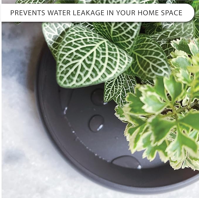 Plant Saucer 6 Pack Drip Trays Planter Pot Base Heavy Duty Plastic Drainage Tray for Indoor Houseplants Outdoor Garden 5 inch 8 inch 11 inch 3 Sizes 2 Each Round (Brownish Black)