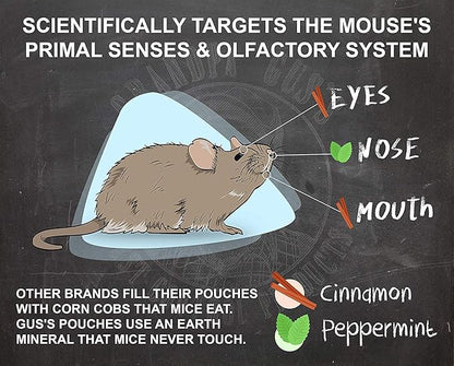 Grandpa Gus's Rodent Repellent Spray, Peppermint & Cinnamon Oil, Prevents Mouse/Rats from Nesting & Chewing on Wires, 16 fl oz (Pack of 1)