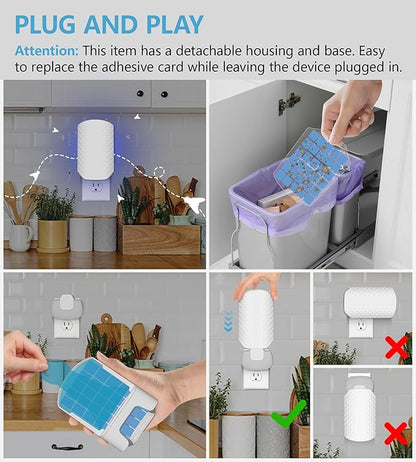 5PCS Refills for WowCatch Flying Insect Trap N386E, Original Super Sticky Cards, High Efficiently Stick Fruit Flies, Gnats, Moths, and Houseflies (Refill Only)