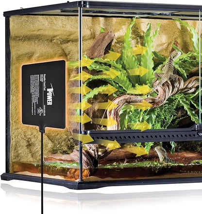 iPower 6X8 Inch Reptile Heat Pad Under Tank Heater Terrarium Warmer Heating Mat and Digital Thermostat Controller for Turtles Lizards Frogs and Other Small Animals