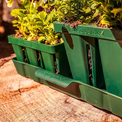 Vego garden Seedling Suite Products, 8 Pack Jumbo Seedling Trays with 10" x 20" Bottom Watering Trays