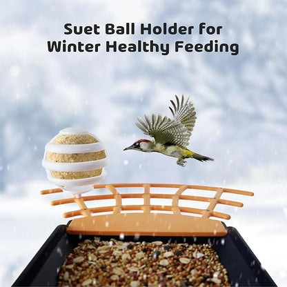 Birdkiss Smart Camera Bird Feeder with Solar Pannel, DIY Different Add-Ones Including Suet Ball, Jelly Feeder, Mini Hummingbird Feeder, Auto Capture Bird Full HD Videos, Ideal Present for Bird Lovers