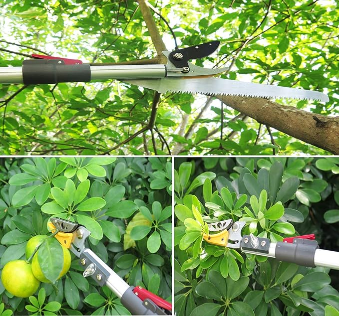 7.6-13 Foot 2 Sections Extendable Tree Trimmers with 4 Nodes Adjustment, Cut and Hold Pruners, Long Reach Pole Saw Pruning Shears, Telescopic Fruit Picker, Branch Clippers Garden Bypass Loppers