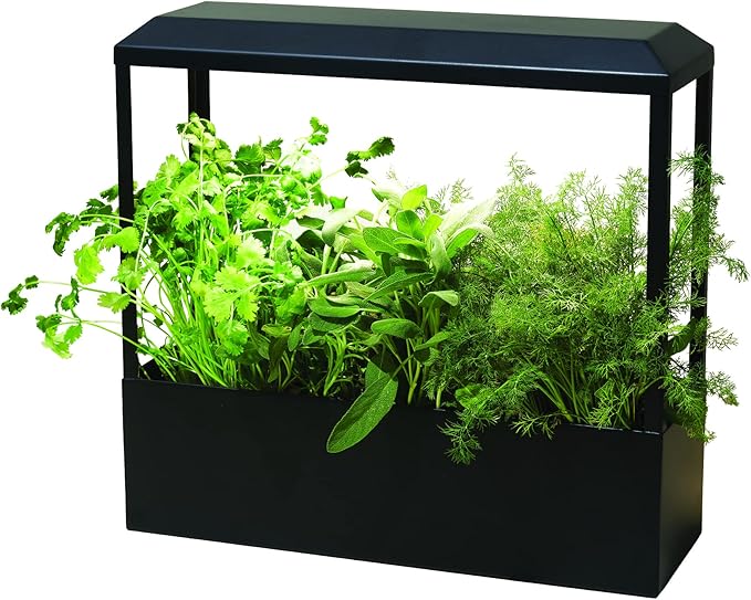 Modern Sprout Smart Growhouse - LED Grow Light for Indoor Plants - Plant Grow Light for Indoor Gardening System - Countertop Planter for Herb Garden with Smart App Control - Matte Black