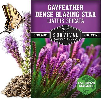 Survival Garden Seeds - Dense Blazing Star (Liatris spicata) | Gayfeather | Prairie Feather | North American Native Wildflower Seeds - 1 Pack
