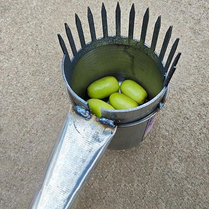 Fruit Picker Gardening Equipment Galvanized Iron Sturdy Easy to Use Portable Picking Tool Manual Agricultural Tool