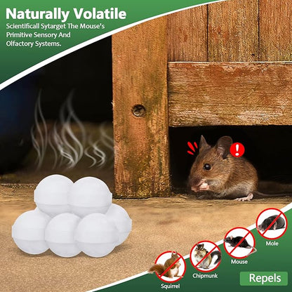 Mouse and Mice Repellent Indoor Outdoor, 10 Packs Moth Balls, Peppermint Balls for Rodent, Long-Lasting Squirrel Repellent, Safe for Human & Pets, Suitable for Home Storage Garage Car RV
