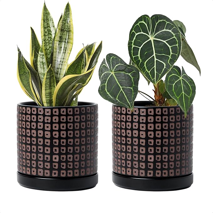 D'vine Dev Set of 2 Ceramic Planter Pots with Drainage Hole and Saucer, 6 Inch Plant Pots for Plants Indoor Houseplants, Black, 99-Z-A-2-Y