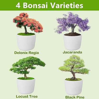 Bonsai Tree Kit, Bonsai Starter Kit with Seeds Tools & Planters, Tree Live Plants Indoor, Gardening Gifts for Women Men Mom Father Plant Lover, Birthday Thanksgiving Christmas Gifts