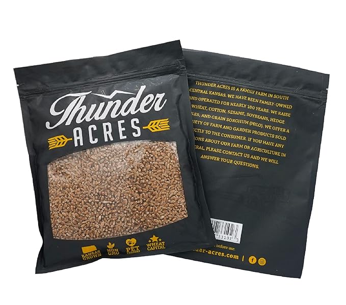 Non-GMO, Thunder Acres Premium Wheat Seed, Cat Grass Seed, Wheatgrass, Hard Red Winter Wheat (5 lbs.)