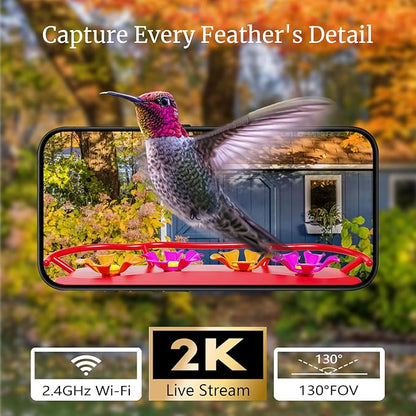 Smart Window Humming Bird Feeder Camera, AI Identifies Species in 2K HD, with Ant Moat & Secure Suction Mount - The Ultimate Gift for Hummingbird Lovers (Transparent)
