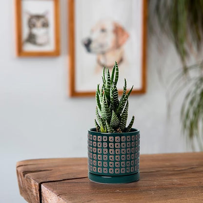 D'vine Dev Set of 2 Ceramic Planter Pots with Drainage Hole and Saucer, 4.5 Inch Plant Pots for Plants Indoor Houseplants, Green, 99-Z-A-4-V