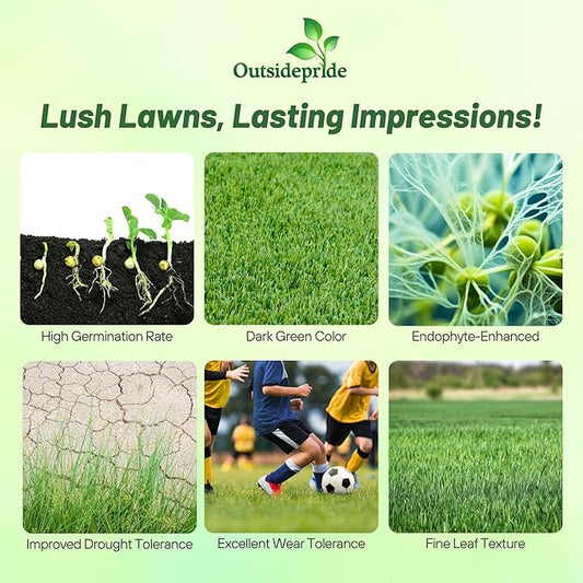 Outsidepride Fireball & Hattrick Rye Grass Seed Blend - 25 Lbs. Wear Tolerant, Fine Leaf Texture Perennial Rye Grass Seeds for Lawn, Sports Turf & More, OptiGrowth Coated for Better Establishment