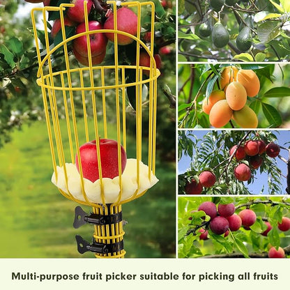 INFLATION Fruit Picker Tool,Apple Picker Pole with Basket,5.5 FT Adjustable Fruit Picker Pole with Basket Telescoping,Sturdy Basket with Foam Pad for Picking Avocado Acorn Lemon Pear Mango……