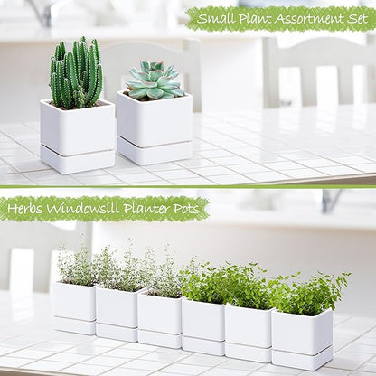 4 Inch Herb Planter Pot, Plastic Planter with Drainage Holes and Saucer, Modern Decorative Gardening Pot for Indoor Plants, Flowers, Herbs, Succulents, White, Set of 6, 76-Y-A-6