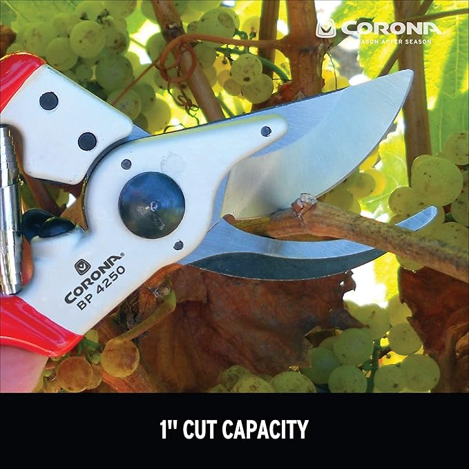 Corona BP 4250 Forged Steel Aluminum Handles Bypass Hand Pruner - 1 inch Cut Capacity Stem and Branch Garden Shears, Red