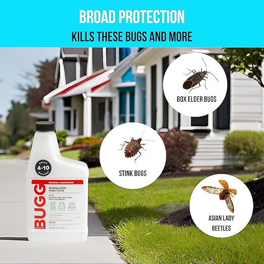 BUGGSLAYER Insecticide - Concentrate - Outdoor Box Elder Bugs, Stink Bugs, Asian Lady Beetles - 16 oz Bottle