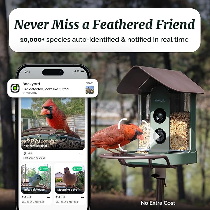 Beako™ Smart Bird Feeder with 4K Camera Lifetime Subscription Included, Solar Powered for Outdoors - Ultra HD Live Stream, AI identifies10,000+ Species, Real-Time Bird Notification, Easy Setup