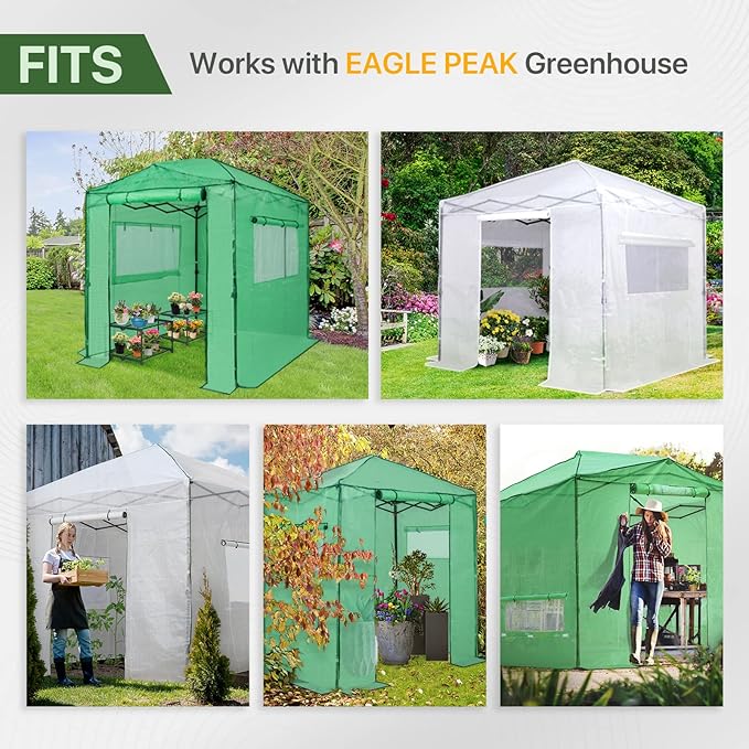 EAGLE PEAK Greenhouse Shelving Staging Double 2 Tier, Outdoor/Indoor Plant Shelves, 27"x19"x16", Green