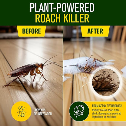 Green Guard Pest Control Spray - Indoor & Outdoor Killer of Ants, Roaches, Spiders & Other Crawling Insects, Safe Around Children & Pets, Plant-Based, Pleasant Scent (Cinnamon Might, 16oz)