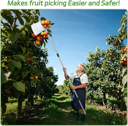 13.8 FT Fruit Picker Tool with Stainless Steel Pole & Soft Basket – Adjustable Tree Fruit Harvester for Apple, Mango, Avocado, Orange, Pear, Lemon & More – Lightweight & Rust-Resistant