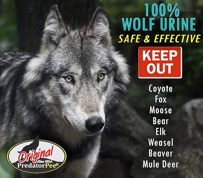 PredatorPee 100% Wolf Urine - Territorial Marking Scent - Creates Illusion That Wolf is Nearby
