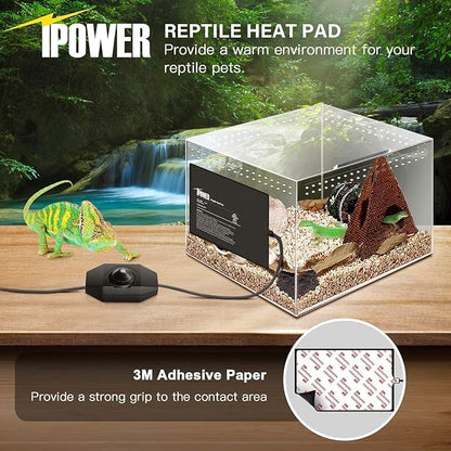 iPower 8 by 12-Inch Reptile Heat Mat with Temperature Adjustment, LCD Digital Aquarium Thermometer, Terrarium Heating Pad for Reptiles & Amphibians