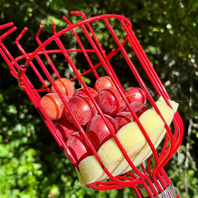 2 PCS Adjustable Fruit Picker Tool, 5.3 Feet Fruit Picker with Telescoping Basket & Pole, Ideal for Orange Picking, Cherry Picking & More