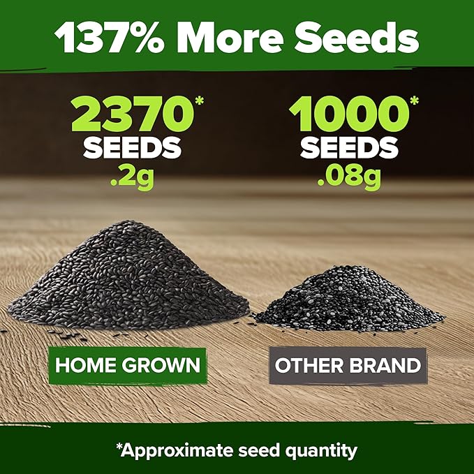 HOME GROWN 𝗨𝗦𝗔 𝗣𝗥𝗘𝗠𝗜𝗨𝗠 Peppermint Seeds Pack – 2,370 𝗡𝗢𝗡-𝗚𝗠𝗢 Heirloom Mint Seeds for Planting. Grow Peppermint Plants in Your Herb Garden Indoors or Outdoors (Mentha x piperita)