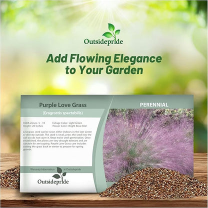 Outsidepride 1000 Seeds Perennial Eragrostis Spectabilis Ornamental Love Grass Seed for Planting