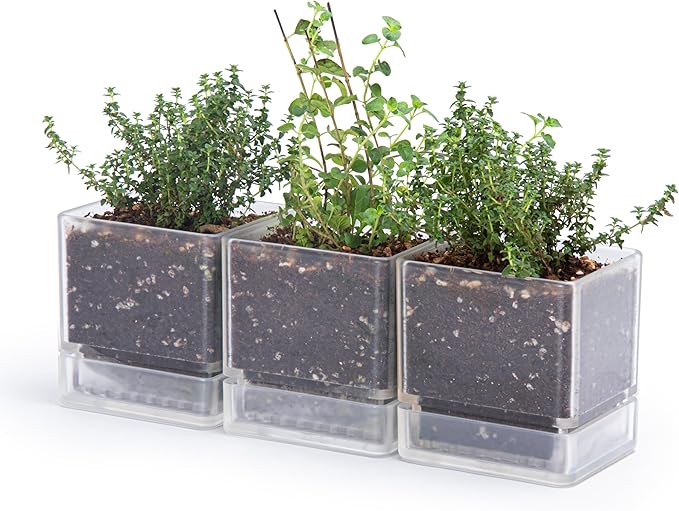 D'vine Dev 4 Inch Herb Planter Pot, Plastic Planter with Drainage Holes and Saucer, Modern Decorative Gardening Pot for Indoor Plants, Flowers, Herbs, Succulents, Clear, Set of 3, 76-Y-D-3