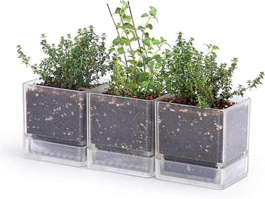 D'vine Dev 4 Inch Herb Planter Pot, Plastic Planter with Drainage Holes and Saucer, Modern Decorative Gardening Pot for Indoor Plants, Flowers, Herbs, Succulents, Clear, Set of 3, 76-Y-D-3
