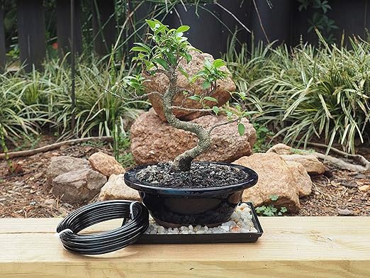 Anodized Aluminum 4.0mm Bonsai Training Wire 250g Large Roll (23 feet) - Choose Your Size and Color (4.0mm, Black)