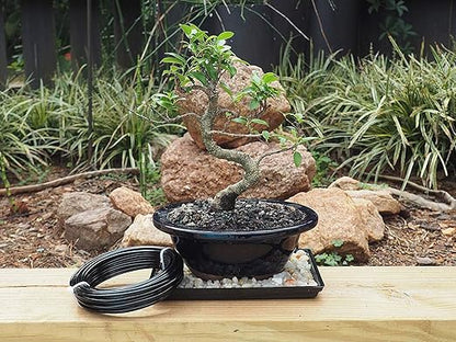 Anodized Aluminum 4.0mm Bonsai Training Wire 250g Large Roll (23 feet) - Choose Your Size and Color (4.0mm, Black)