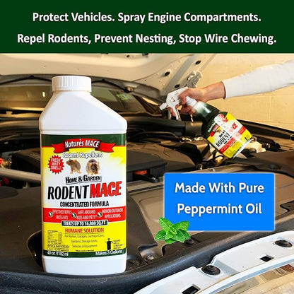 Nature's MACE 1 Gal Rodent Repellent Spray, Mouse & Rat Control for Car Engines, Repel Mice, Indoor & Outdoor Spray, Stop Rodent Damage in House, Car, RV, Attic, Garage, Stops Nesting & Wire Chewing