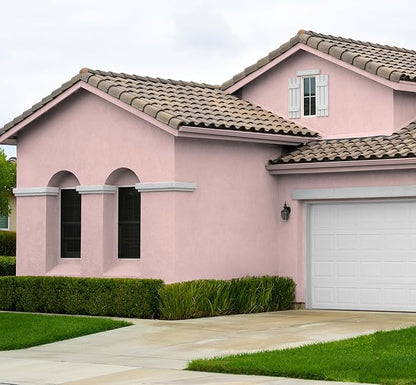 EVOLVE Paint & Primer: Environment-friendly, Low Sheen with One-coat Coverage for Interior & Exterior surfaces (Posy Pink, 1-Gallon)